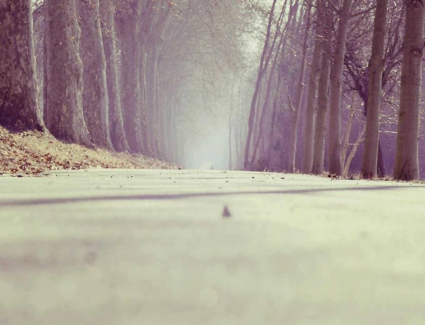 Unauth title iNxFYcIJ